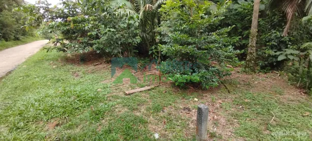 Lote/Terreno à venda, 13m² no Morretes, Morretes