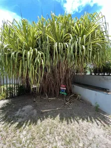 Casa com 6 Quartos à venda, 420m² no Riacho Doce, Maceió
