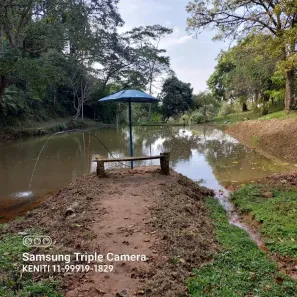Fazenda/Sítio com 4 Quartos à venda, 30200m² no Pouso Alegre, Santa Isabel
