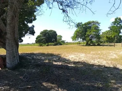 Fazenda/Sítio com 3 Quartos à venda, 1234m² no , São Francisco de Itabapoana