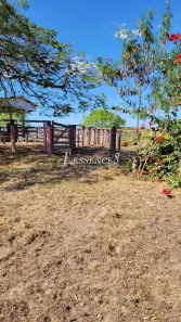 Lote/Terreno à venda, 145m² no , Crixás