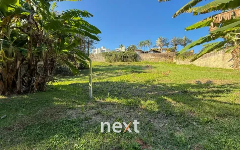 Lote/Terreno à venda, 529m² no Bairro das Palmeiras, Campinas