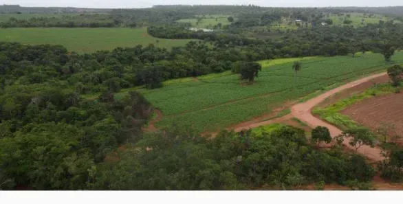 Fazenda/Sítio à venda, 20000m² no , Jaboticatubas