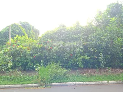 Lote/Terreno à venda, 250m² no Residencial Samambaia, São Carlos