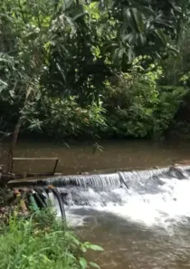 Fazenda/Sítio à venda, 20000m² no Centro, Corumbá de Goiás