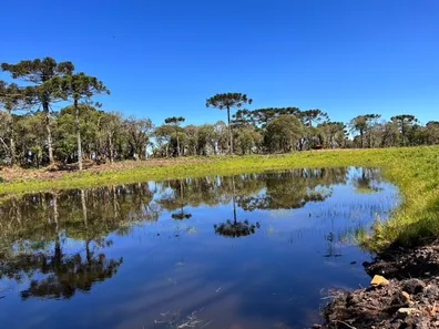 Fazenda/Sítio com 1 Quarto à venda, 20000m² no , Urubici