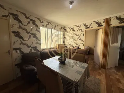 Apartamento com 2 Quartos à venda, 50m² no Jardim das Flores, São Paulo