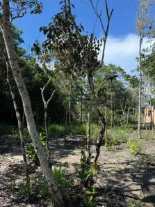 Lote/Terreno à venda, 510m² no Arraial D'Ajuda, Porto Seguro