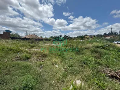 Lote/Terreno com 1 Quarto à venda, 620m² no Porta Florada, Gravatá