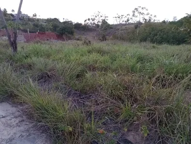 Lote/Terreno à venda, 900m² no Porto de Galinhas, Ipojuca