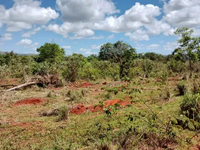 Fazenda/Sítio à venda, 20000m² no , Paraopeba