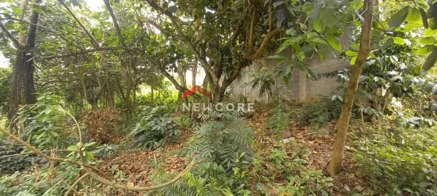 Lote/Terreno à venda, 2480m² no Paisagem Renoir, Cotia