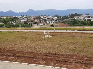 Lote/Terreno à venda, 390m² no Camobi, Santa Maria
