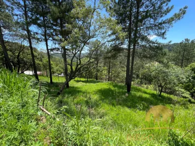 Lote/Terreno à venda, 1133m² no Terra Preta (Terra Preta), Mairiporã