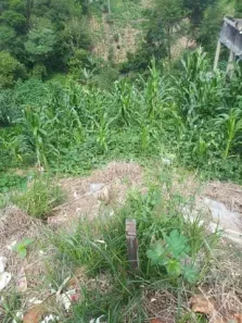 Lote/Terreno à venda, 150m² no Jardim Japão (Caucaia do Alto), Cotia