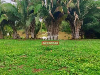Fazenda/Sítio à venda, 1m² no , São Miguel do Araguaia