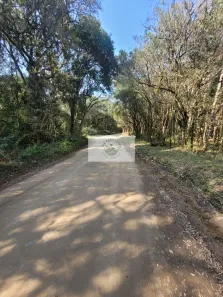 Fazenda/Sítio com 1 Quarto à venda, 32194m² no , Campo Alegre