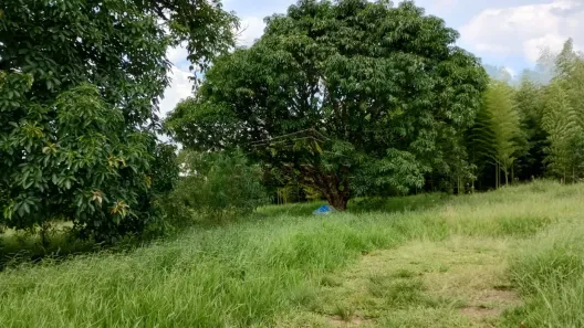 Lote/Terreno à venda, 1500m² no Parque Alvorada, Suzano