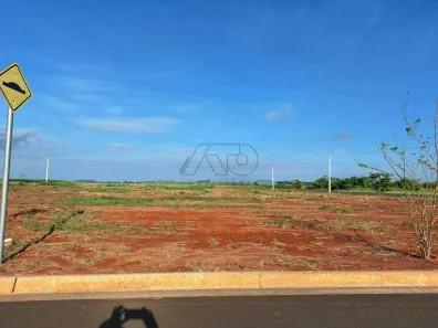 Lote/Terreno à venda, 175m² no Nossa Senhora Aparecida I, Saltinho