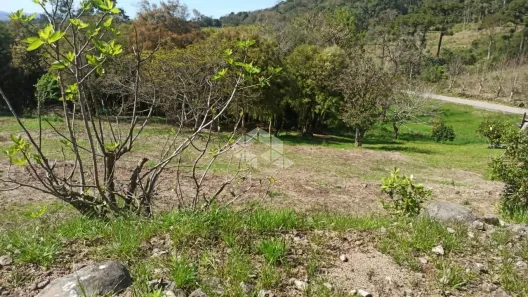 Lote/Terreno à venda, 3970m² no , Bento Gonçalves