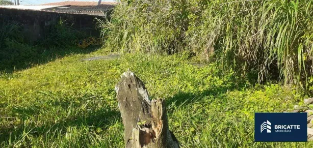 Lote/Terreno à venda, 361m² no Belas Artes, Itanhaém
