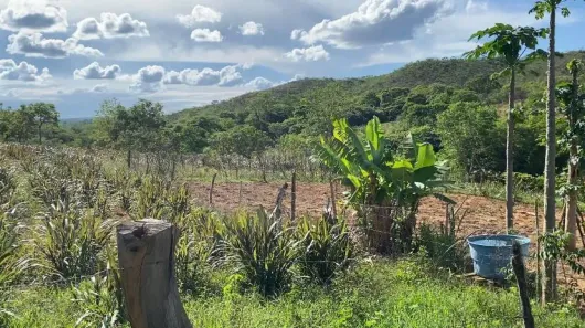 Fazenda/Sítio à venda, 2310000m² no Olhos D'Água, Belo Horizonte