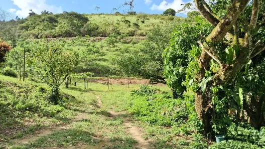 Fazenda/Sítio à venda, 450000m² no Centro, Amaraji