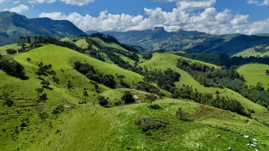 Lote/Terreno à venda, 174900m² no , São Bento do Sapucaí