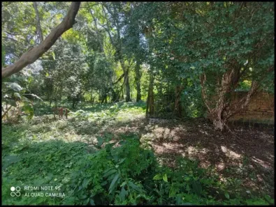 Fazenda/Sítio à venda, 1500m² no Centro, Lorena