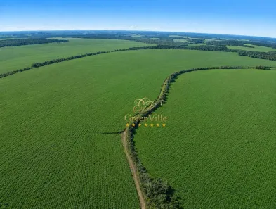 Fazenda/Sítio com 5 Quartos à venda, 5285600m² no Centro, Canoinhas