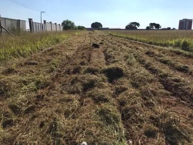Lote/Terreno à venda, 4500m² no Jardim Wanderley, Tatuí