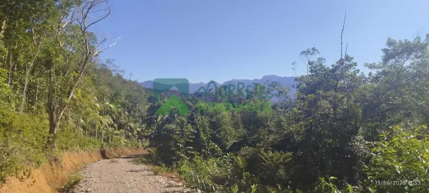 Lote/Terreno à venda, 20000m² no Morretes, Morretes