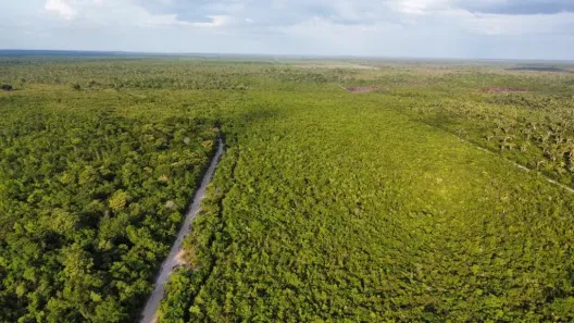 Fazenda/Sítio à venda, 2100000m² no Zona Rural, Chapadinha