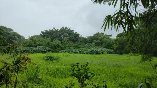 Lote/Terreno à venda, 1000m² no Chácara Santa Margarida, Campinas
