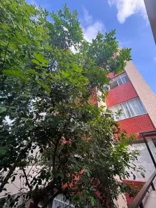 Apartamento com 2 Quartos à venda, 100m² no Ondina, Salvador