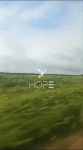 Fazenda/Sítio com 1 Quarto à venda, 125648336m² no , São Geraldo do Araguaia