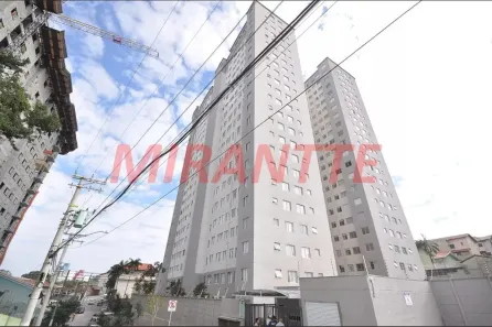 Apartamento com 2 Quartos à venda, 43m² no Vila Santos, São Paulo