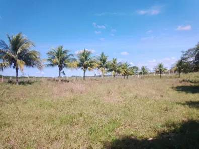 Fazenda/Sítio à venda, 54768113m² no Parque Santos Dumont, Campos dos Goytacazes