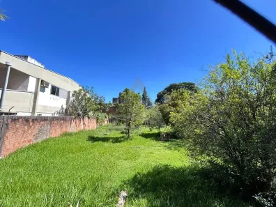 Lote/Terreno à venda, 664m² no Nova Campinas, Campinas