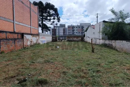 Lote/Terreno à venda, 456m² no Vargem Grande, Pinhais