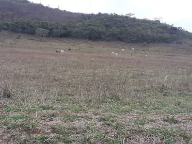 Fazenda/Sítio com 3 Quartos à venda, 70m² no Área Rural de Pouso Alegre, Pouso Alegre