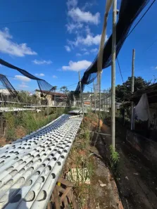 Lote/Terreno à venda, 5000m² no Senhora da Conceição - 2ª Seção, Contagem