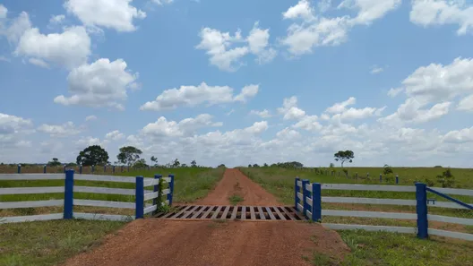 Fazenda/Sítio com 5 Quartos à venda, 255m² no , Conceição do Araguaia