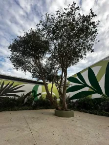 Sala Comercial com 1 Quarto para alugar, 15m² no Jardim Nossa Senhora Auxiliadora, Campinas