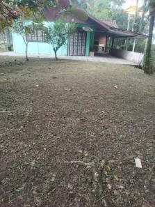 Fazenda/Sítio com 2 Quartos à venda, 5356m² no Alexandra, Paranaguá