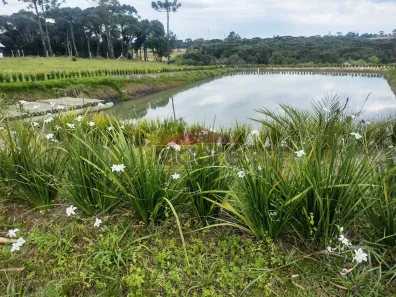 Fazenda/Sítio à venda, 41912m² no Centro, Lapa