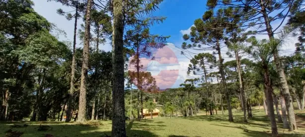 Fazenda/Sítio com 5 Quartos à venda, 380m² no Campo Alegre, Campo Alegre