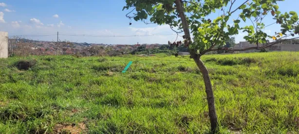 Lote/Terreno à venda, 175m² no Jardim Caiman, Campinas