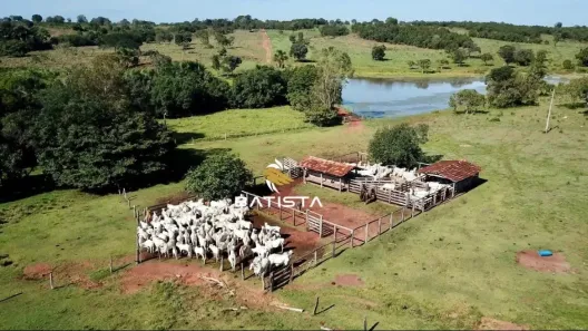 Fazenda/Sítio com 4 Quartos à venda, 1000m² no , Porangatu