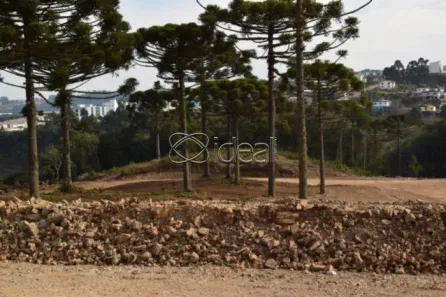 Lote/Terreno à venda, 1381m² no São Pelegrino, Caxias do Sul